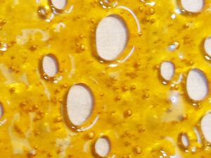 Mk Ultra Shatter Weed Bud Marijuana Terpenes Cannabis Master Kush