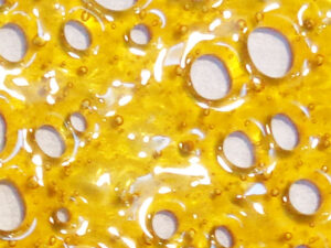 Pine Tar Kush Shatter Weed Cannabis Marijuana Terpenes Concentrates