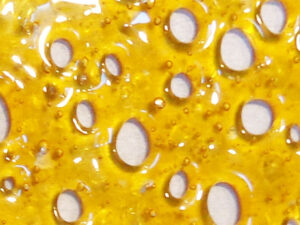 White Rhino Shatter Bud Marijuana Cannabis Terpenes Concentrates