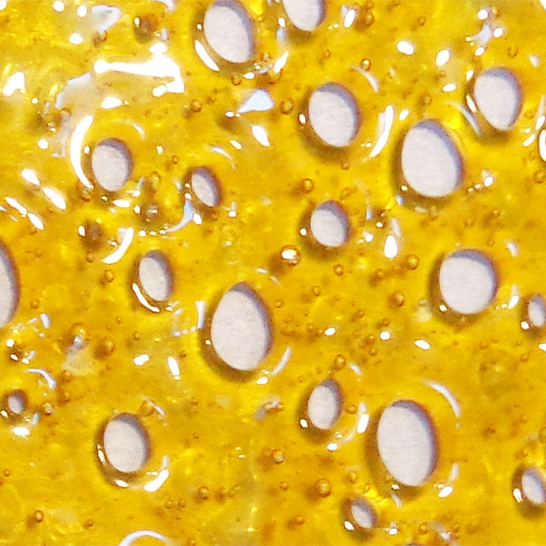 White Rhino Shatter Bud Marijuana Cannabis Terpenes Concentrates