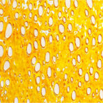 White Widow Shatter Pungent Sweet Cannabis Weed Marijuana Bud